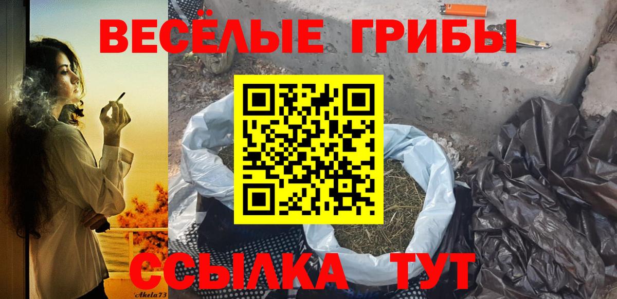Галлюциногенные грибы Psilocybe Сердобск
